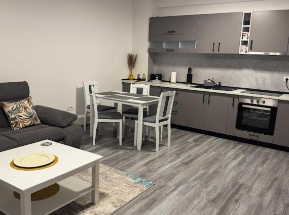 Apartament Ionut Băile Felix Exterior foto